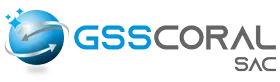 GSS CORAL S.A.C. – Venta de EPP y artículos de limpieza